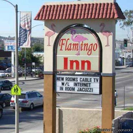 Flamingo Inn Роузмід Екстер'єр фото